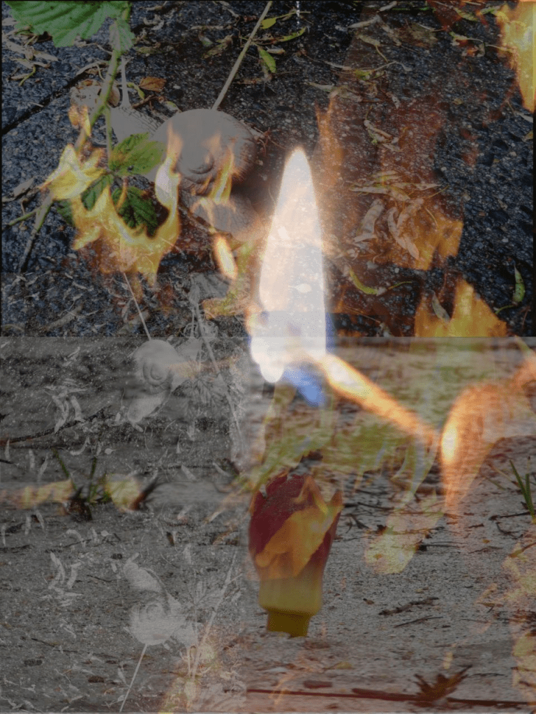 An artistic collage featuring a lit candle flame, a snail, and overlapping natural elements like leaves and a textured surface.